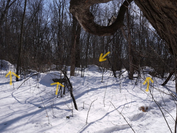 dowker island, remains of the barn foundation, 2019