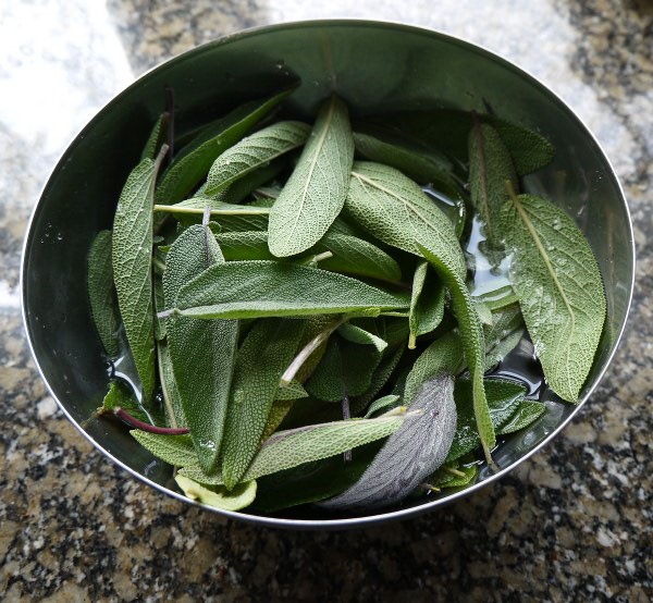 sage leaves