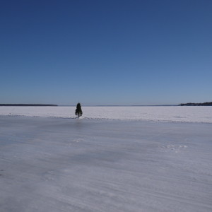 Hudson - Oka ice bridge