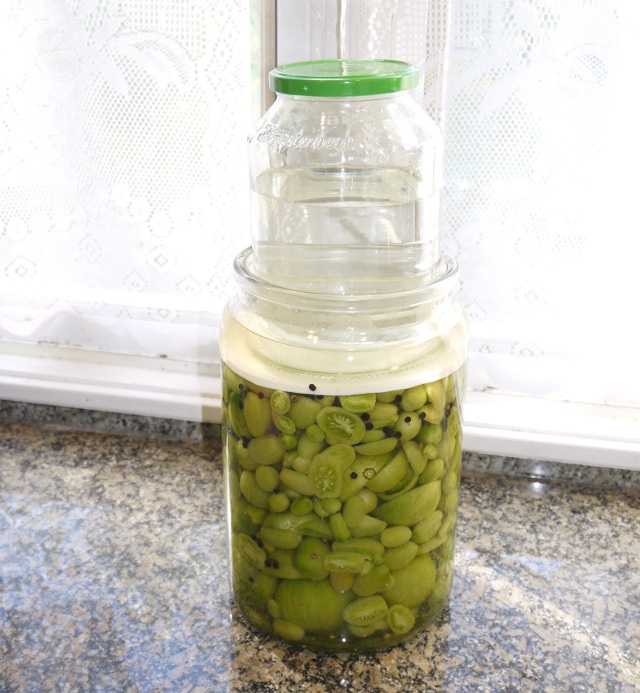 green tomatoes ready to ferment