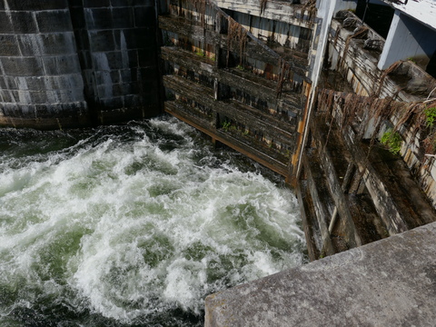 jonesfalls and deltamill 2025