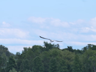 Lac Memphremagog